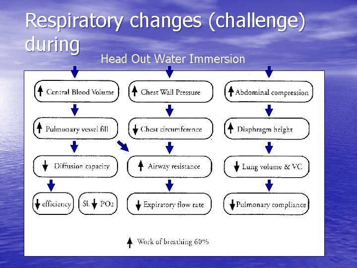 Respiratory changes (challenge) during Head Out Water Immersion 