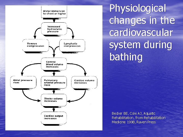 Physiological changes in the cardiovascular system during bathing Becker BE, Cole AJ, Aquatic Rehabilitation,