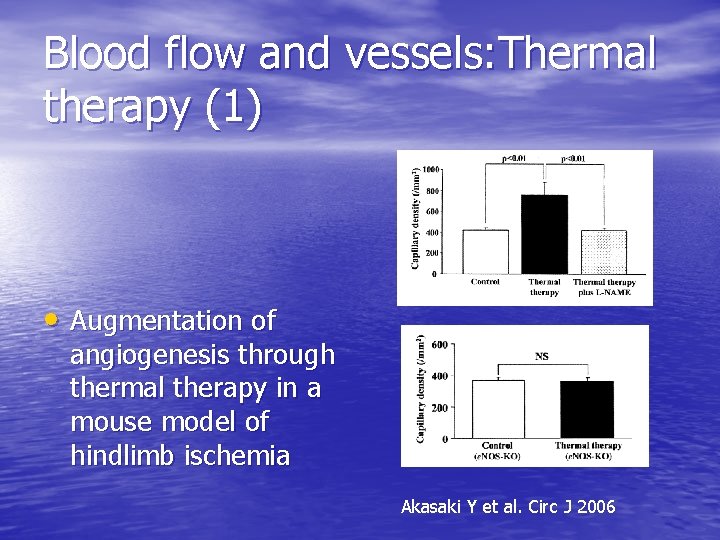 Blood flow and vessels: Thermal therapy (1) • Augmentation of angiogenesis through thermal therapy