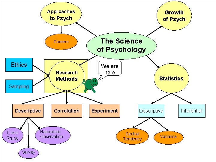 Approaches Growth of Psych to Psych Careers Ethics Research The Science of Psychology We