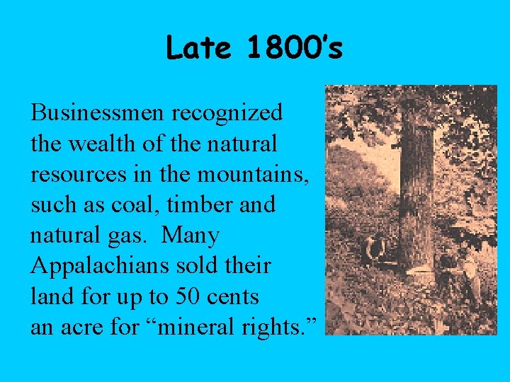 Late 1800’s Businessmen recognized the wealth of the natural resources in the mountains, such