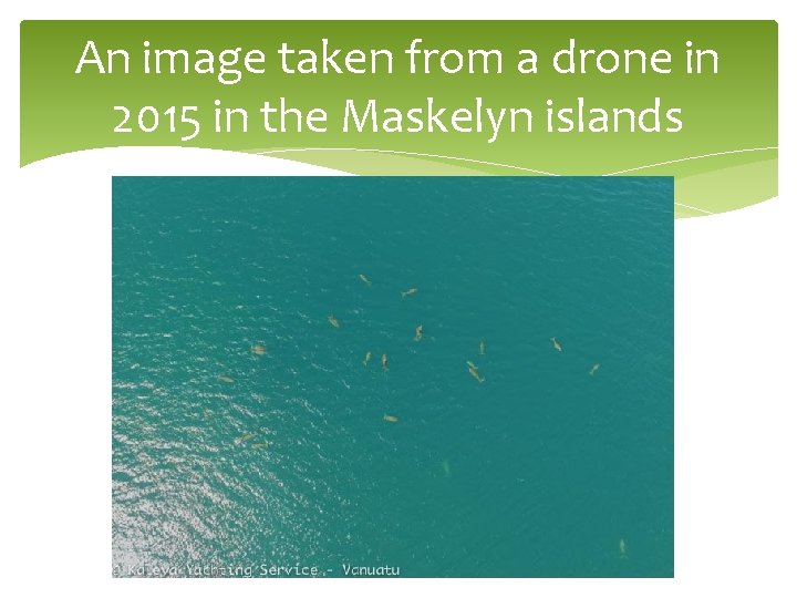 An image taken from a drone in 2015 in the Maskelyn islands 