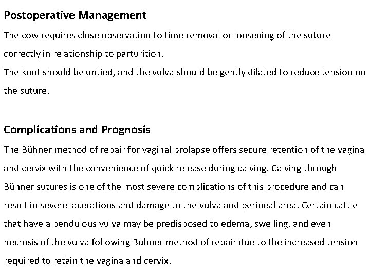 Postoperative Management The cow requires close observation to time removal or loosening of the