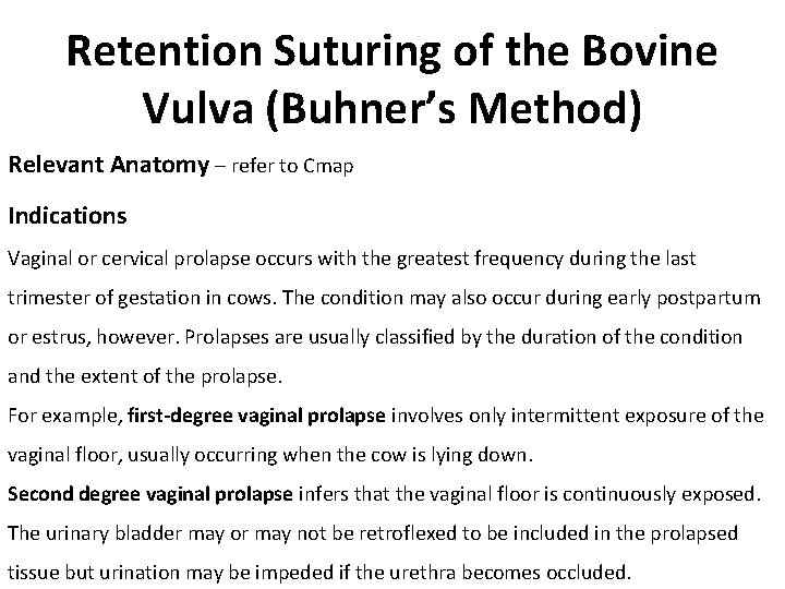Retention Suturing of the Bovine Vulva (Buhner’s Method) Relevant Anatomy – refer to Cmap