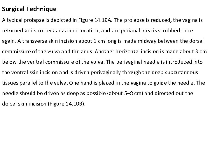 Surgical Technique A typical prolapse is depicted in Figure 14. 10 A. The prolapse