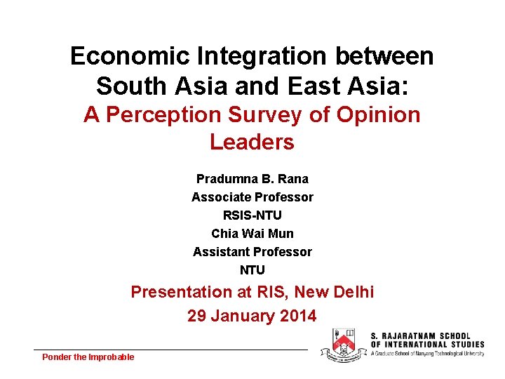 Economic Integration between South Asia and East Asia: A Perception Survey of Opinion Leaders