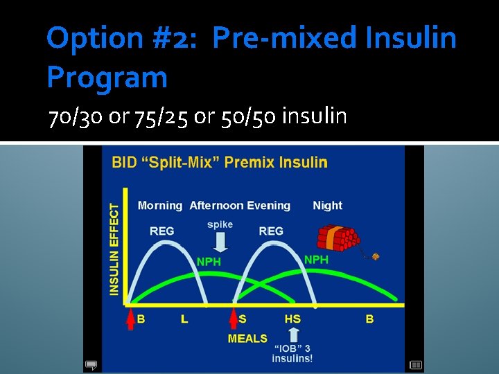 Option #2: Pre-mixed Insulin Program 70/30 or 75/25 or 50/50 insulin 