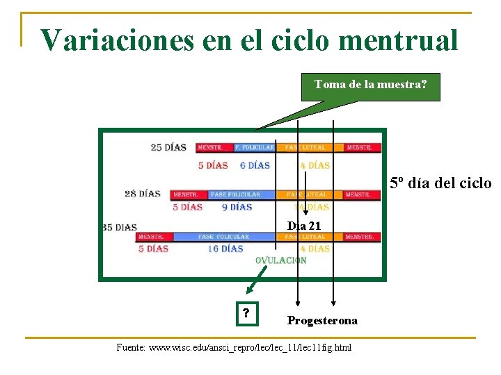 Variaciones en el ciclo mentrual Toma de la muestra? 5º día del ciclo Día