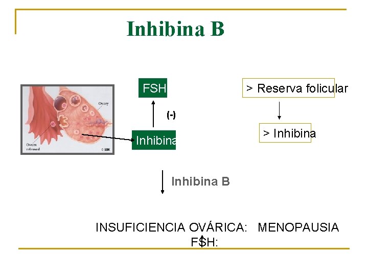 Inhibina B FSH > Reserva folicular (-) Inhibina > Inhibina B INSUFICIENCIA OVÁRICA: MENOPAUSIA