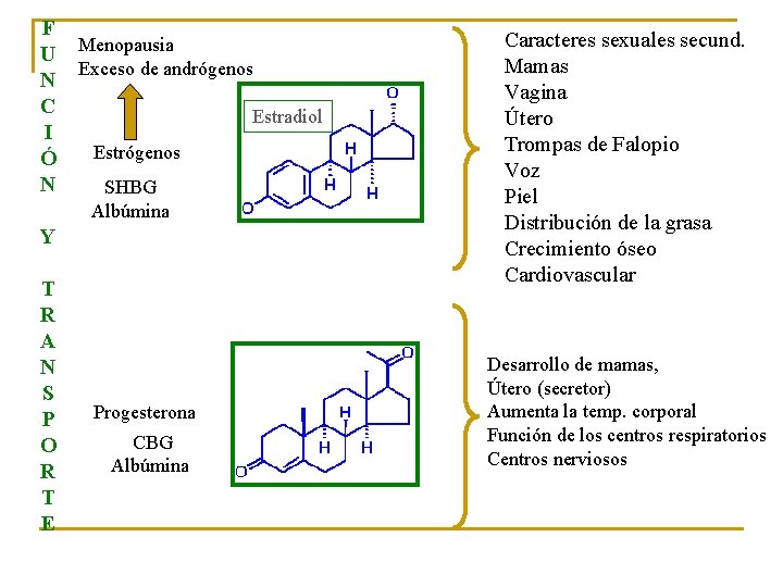 F U Menopausia Exceso de andrógenos N C Estradiol I Estrógenos Ó N SHBG