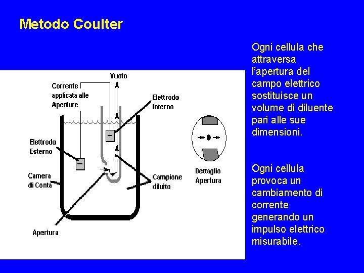 Metodo Coulter Ogni cellula che attraversa l’apertura del campo elettrico sostituisce un volume di