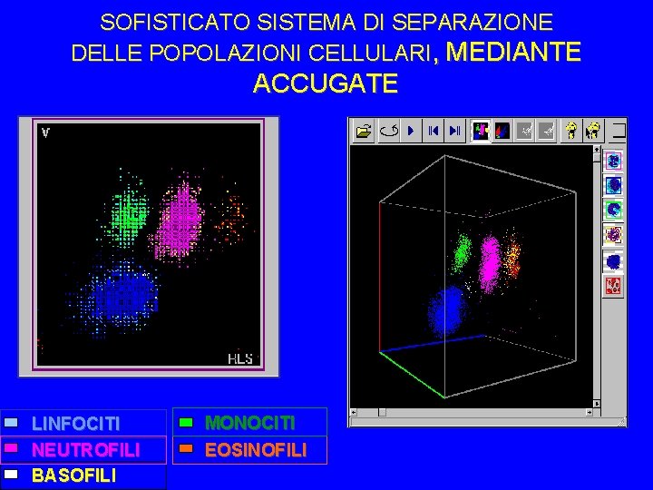 SOFISTICATO SISTEMA DI SEPARAZIONE DELLE POPOLAZIONI CELLULARI, MEDIANTE ACCUGATE LINFOCITI NEUTROFILI BASOFILI MONOCITI EOSINOFILI