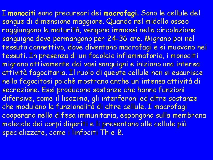 I monociti sono precursori dei macrofagi. Sono le cellule del sangue di dimensione maggiore.