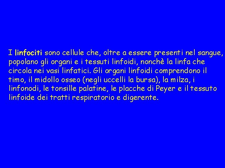 I linfociti sono cellule che, oltre a essere presenti nel sangue, popolano gli organi