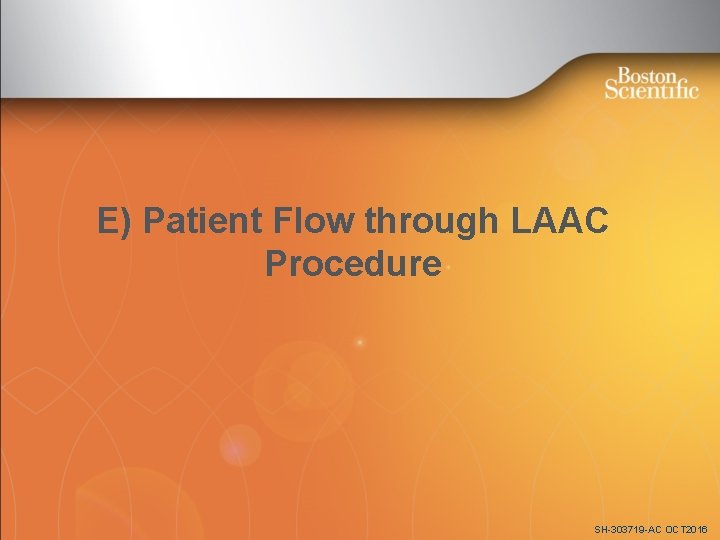 E) Patient Flow through LAAC Procedure SH-303719 -AC OCT 2016 