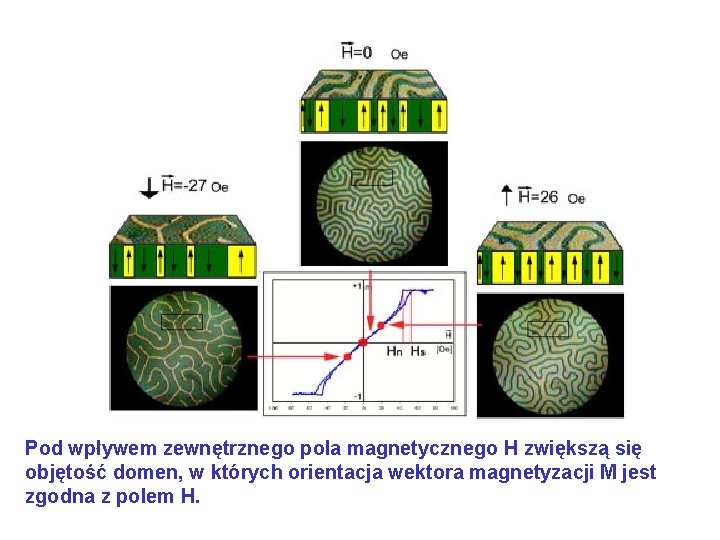 Pod wpływem zewnętrznego pola magnetycznego H zwiększą się objętość domen, w których orientacja wektora