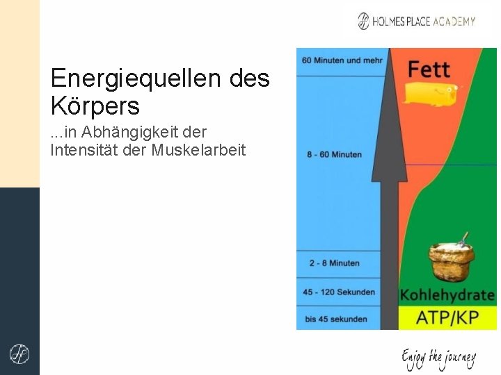 Energiequellen des Körpers. . . in Abhängigkeit der Intensität der Muskelarbeit 