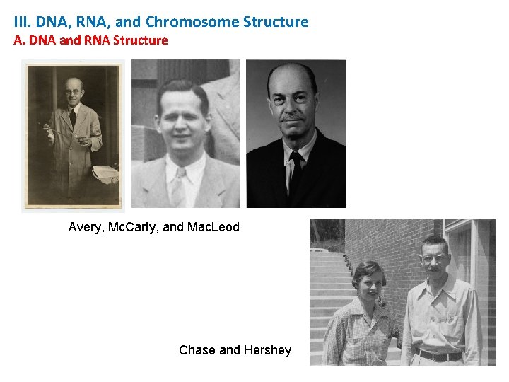 III. DNA, RNA, and Chromosome Structure A. DNA and RNA Structure Avery, Mc. Carty,