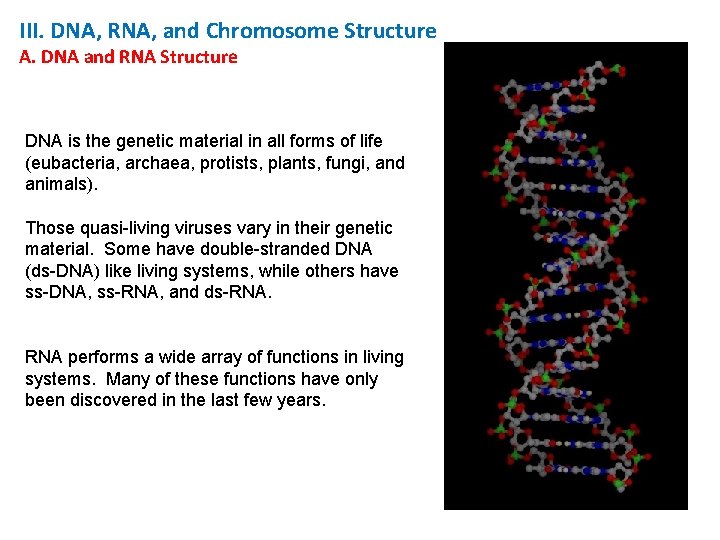 III. DNA, RNA, and Chromosome Structure A. DNA and RNA Structure DNA is the