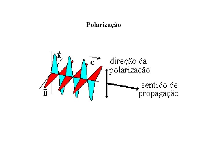 Polarização 