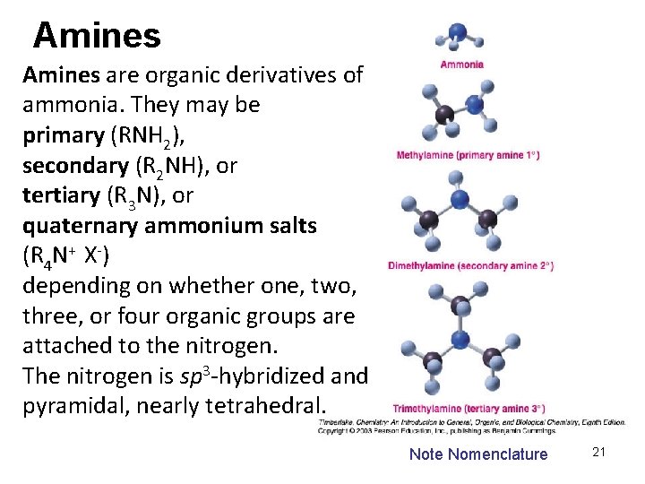 Amines are organic derivatives of ammonia. They may be primary (RNH 2), secondary (R Amines are organic derivatives of ammonia. They may be primary (RNH 2), secondary (R