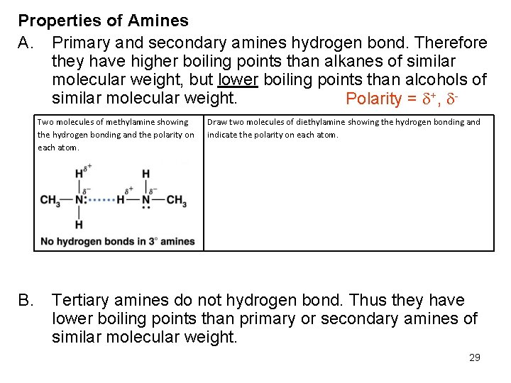 Properties of Amines A. Primary and secondary amines hydrogen bond. Therefore they have higher Properties of Amines A. Primary and secondary amines hydrogen bond. Therefore they have higher