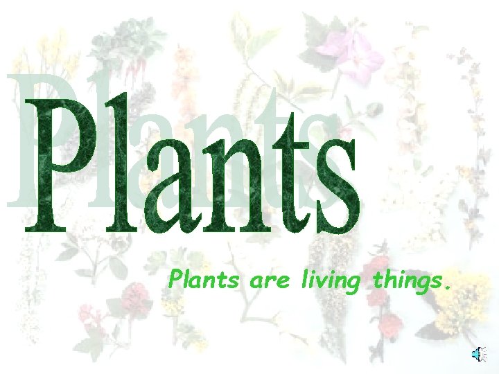 Plants are living things Plants have roots stems