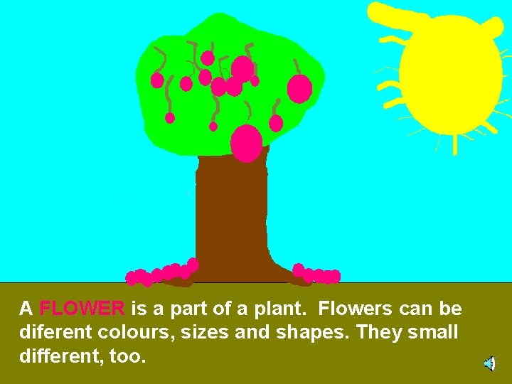 A FLOWER is a part of a plant. Flowers can be diferent colours, sizes
