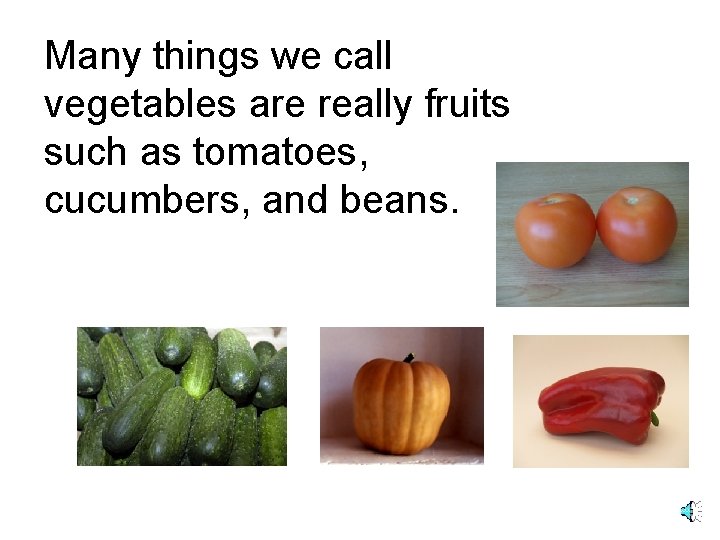 Many things we call vegetables are really fruits such as tomatoes, cucumbers, and beans.