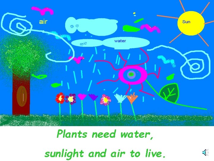 Plants need water, sunlight and air to live. 