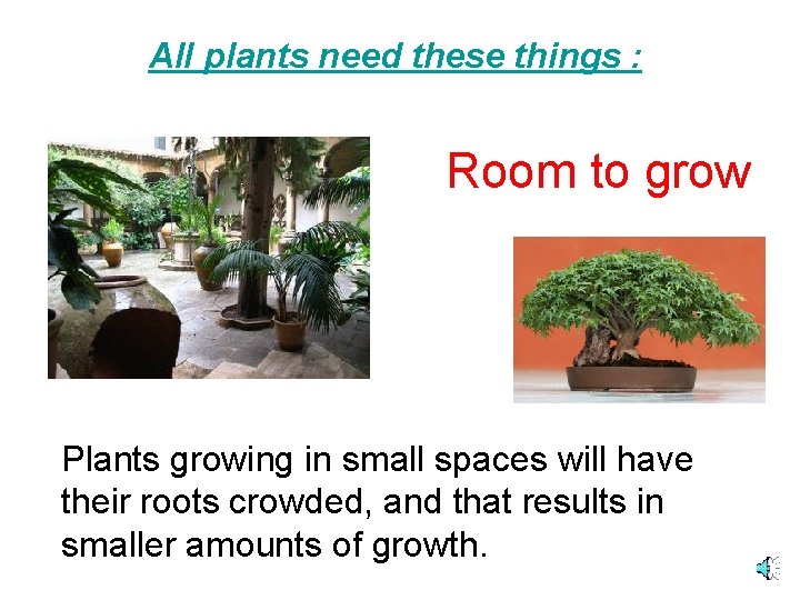 All plants need these things : Room to grow Plants growing in small spaces