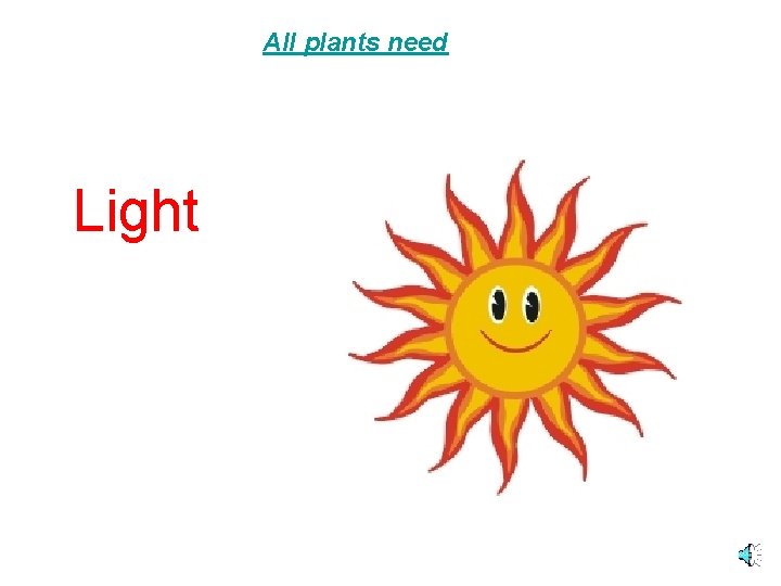 All plants need Light 