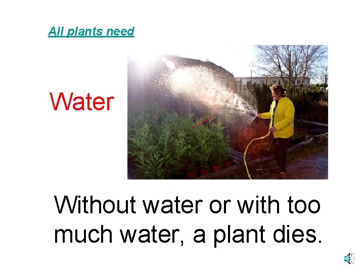 All plants need Water Without water or with too much water, a plant dies.