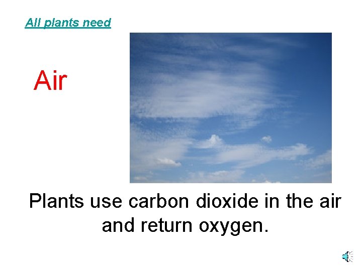 All plants need Air Plants use carbon dioxide in the air and return oxygen.