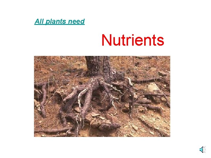 All plants need Nutrients 