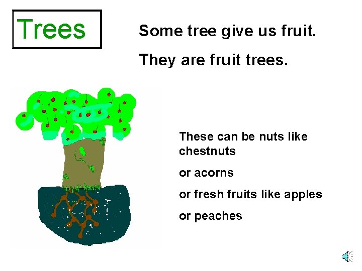 Trees Some tree give us fruit. They are fruit trees. These can be nuts