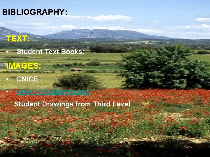 BIBLIOGRAPHY: TEXT: • Student Text Books: IMAGES: • CNICE • www. leoloqueveo. org Student