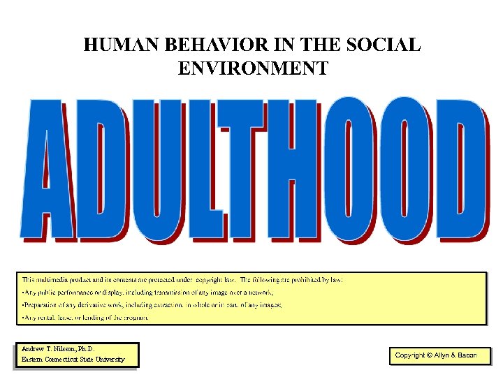 Andrew T. Nilsson, Ph. D. Eastern Connecticut State University Copyright © Allyn & Bacon