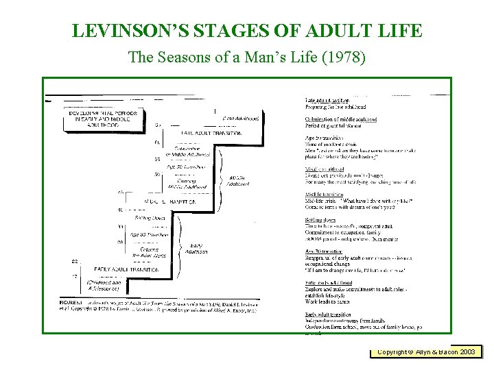LEVINSON’S STAGES OF ADULT LIFE The Seasons of a Man’s Life (1978) Copyright ©