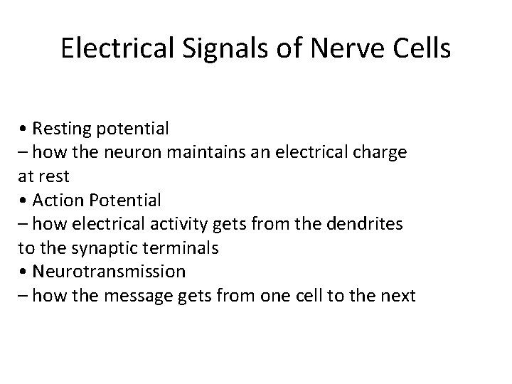 Electrical Signals of Nerve Cells • Resting potential – how the neuron maintains an