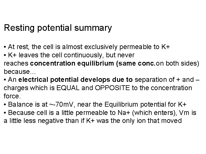 Resting potential summary • At rest, the cell is almost exclusively permeable to K+