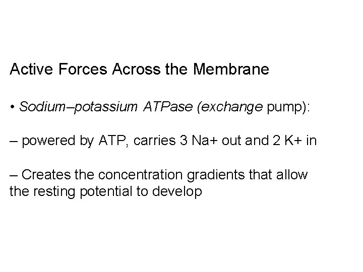 Active Forces Across the Membrane • Sodium–potassium ATPase (exchange pump): – powered by ATP,