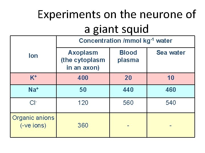 Experiments on the neurone of a giant squid Concentration /mmol kg-1 water Ion Axoplasm
