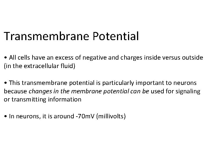 Transmembrane Potential • All cells have an excess of negative and charges inside versus