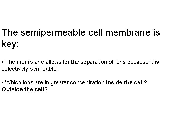 The semipermeable cell membrane is key: • The membrane allows for the separation of