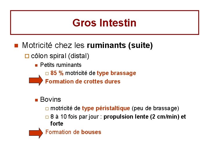 Gros Intestin n Motricité chez les ruminants (suite) ¨ côlon spiral (distal) n n