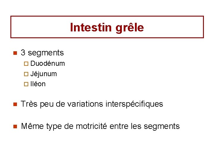 Intestin grêle n 3 segments ¨ Duodénum ¨ Jéjunum ¨ Iléon n Très peu