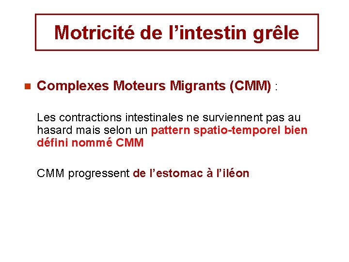 Motricité de l’intestin grêle n Complexes Moteurs Migrants (CMM) : Les contractions intestinales ne