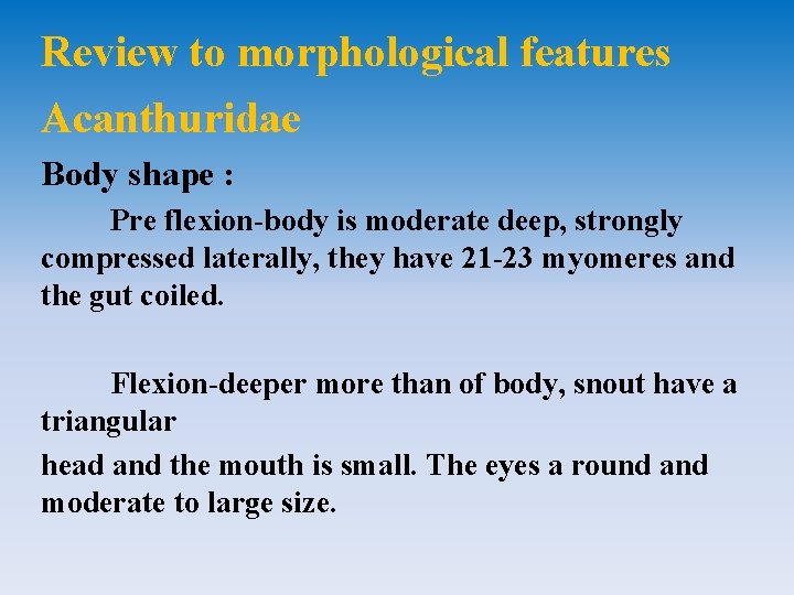 Review to morphological features Acanthuridae Body shape : Pre flexion-body is moderate deep, strongly