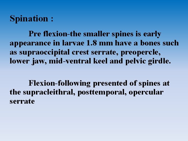 Spination : Pre flexion-the smaller spines is early appearance in larvae 1. 8 mm